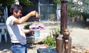 Teegarten bei Kemer, Türkei